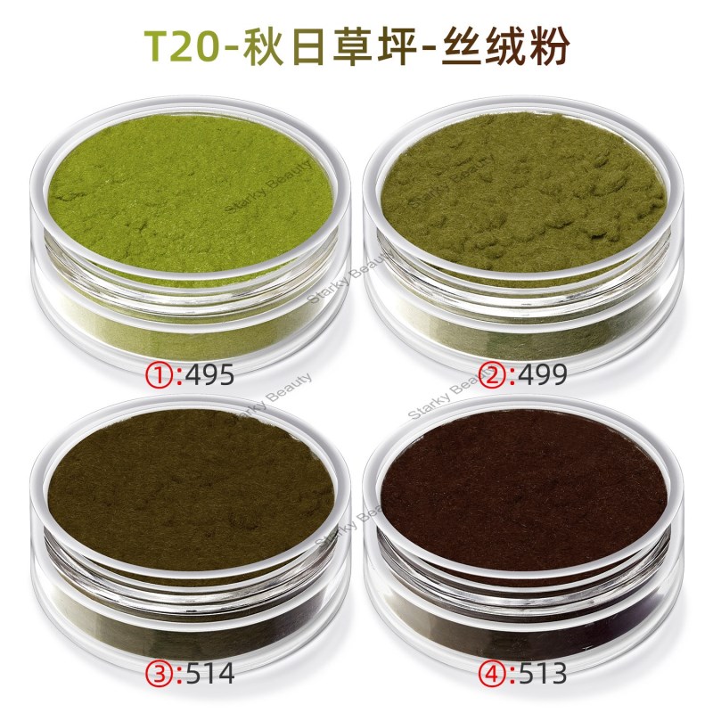 T20