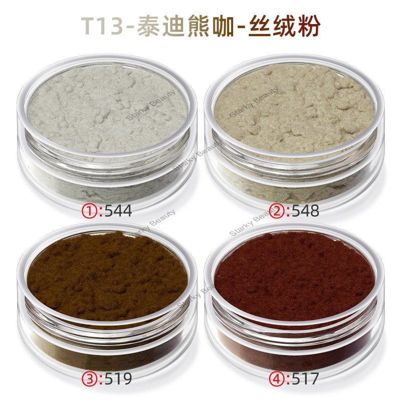 T13