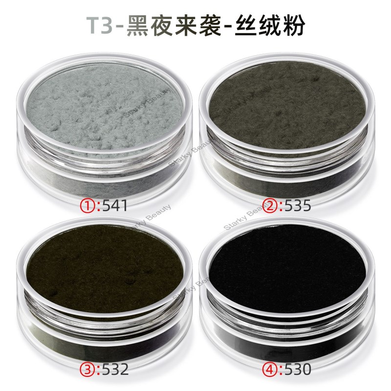 T3
